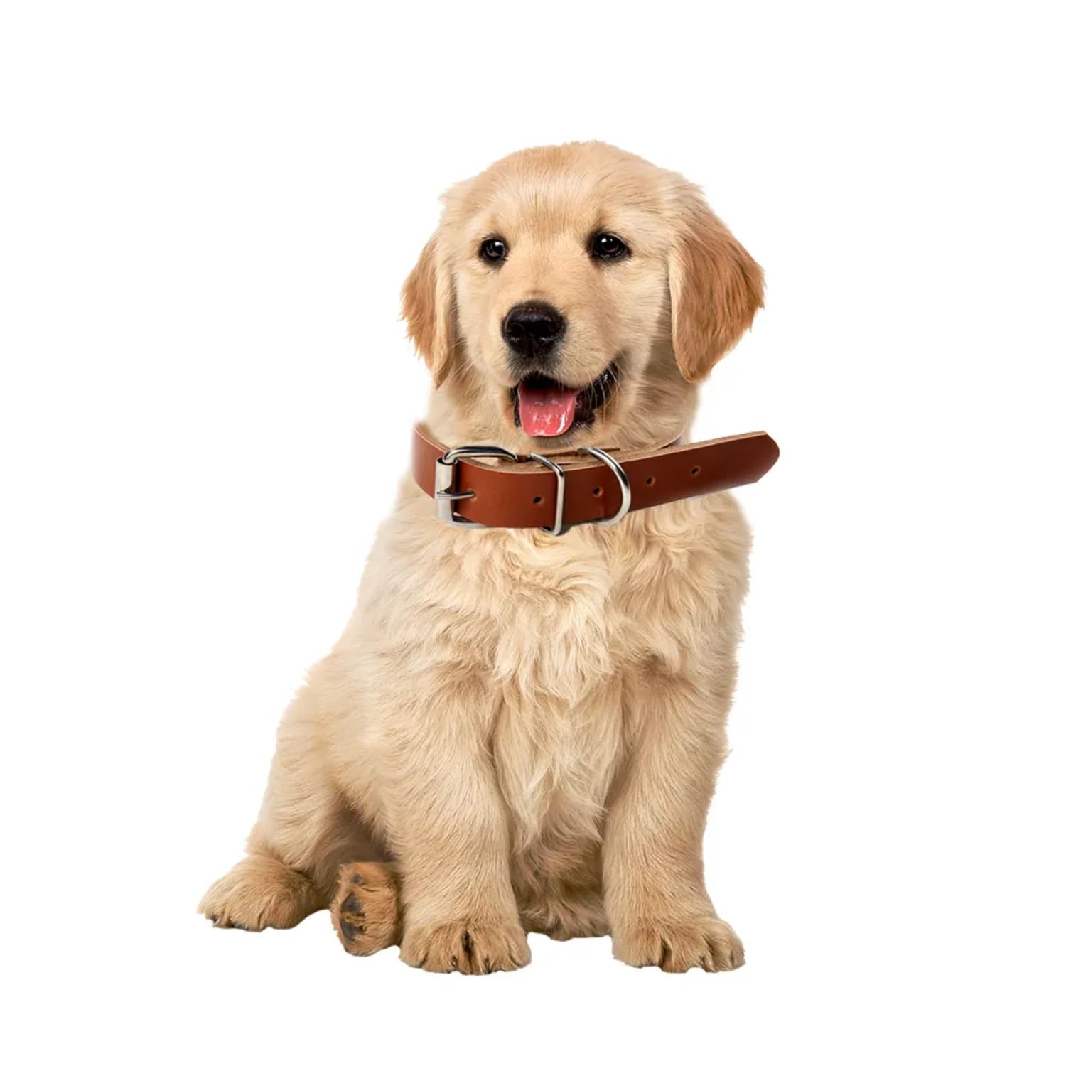 Collar para Perros, Collares para Perro Grande, Collar para Cachorro, Collar De Cuero para Perros Grandes, Collar para Perros Pequeños, Collar Cuero Resistente, Collar para Perros, Collar De Cuero