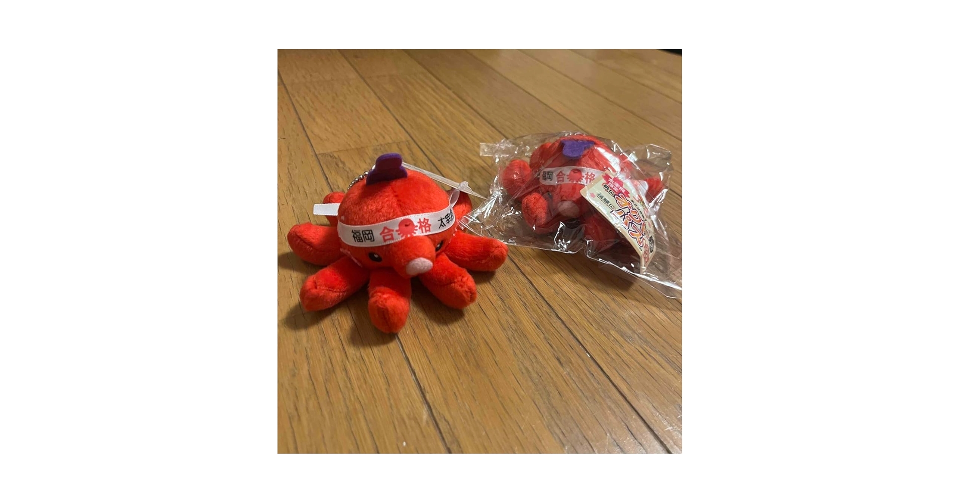 Amazon.co.jp: オクトパス タコ 太宰府天満宮 合格祈願 2個