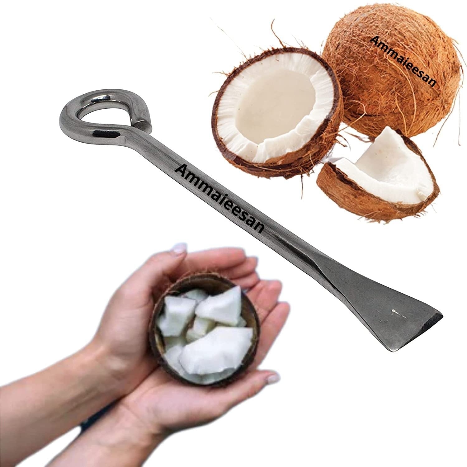 Ammaieesan Easy Stainless Steel Coconut Opener Shell Cracker length18 cm Kitchen Tool Set (Pack of 1)