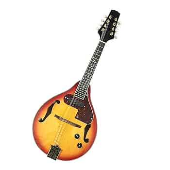 Samick エレクトリックマンドリン Samick エレキマンドリン MA/PU - メルカリ
