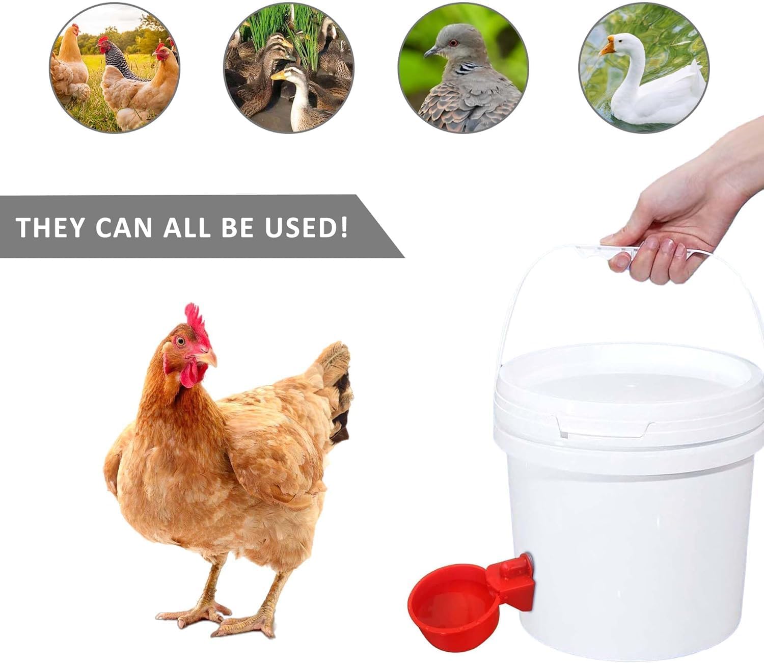 6 bebederos para Pollos, dispensador de Agua para Pollos, Bebedero automático para Aves de Corral, Bebedero para gallinas, Accesorios para gallinas, Juego de dispensador de Agua con Taladro