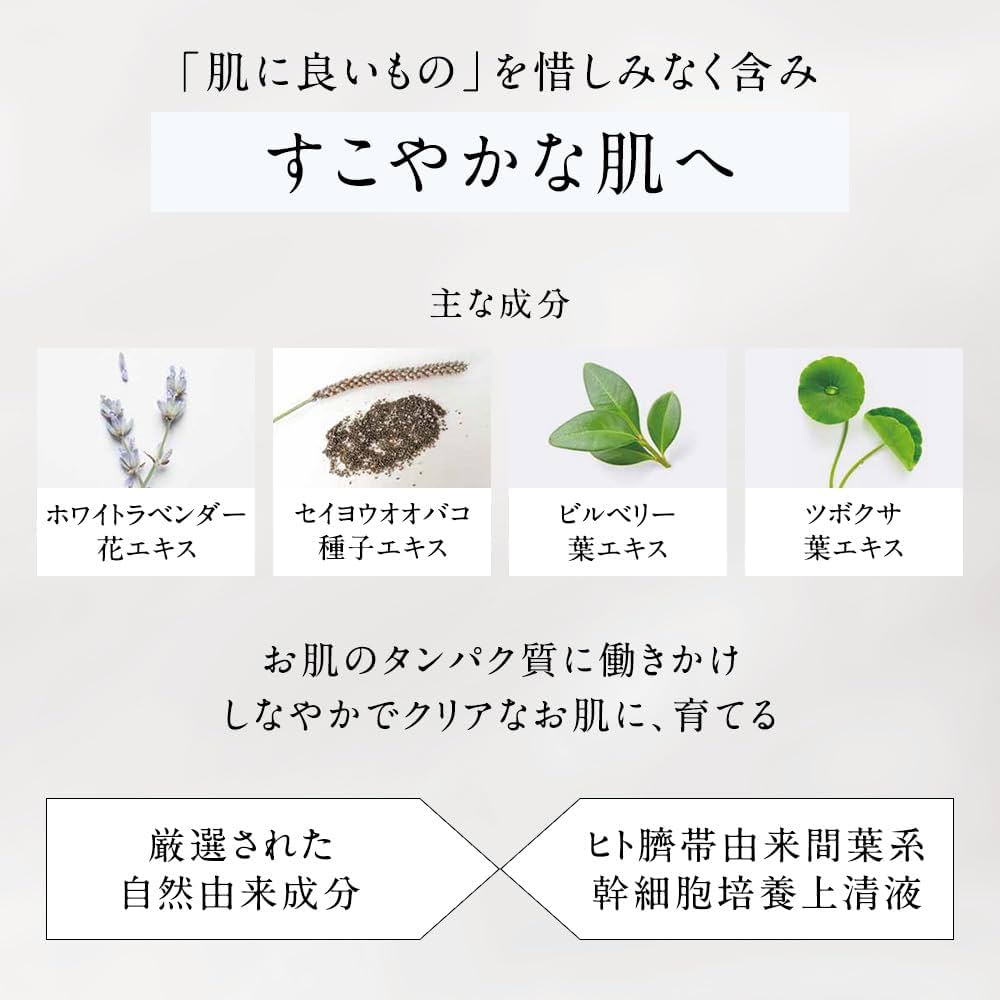 Eternam エテルナム クリーム BCクリームA 30g 2個セット Eternam エテルナム クリーム BCクリームA 30g 2個セット