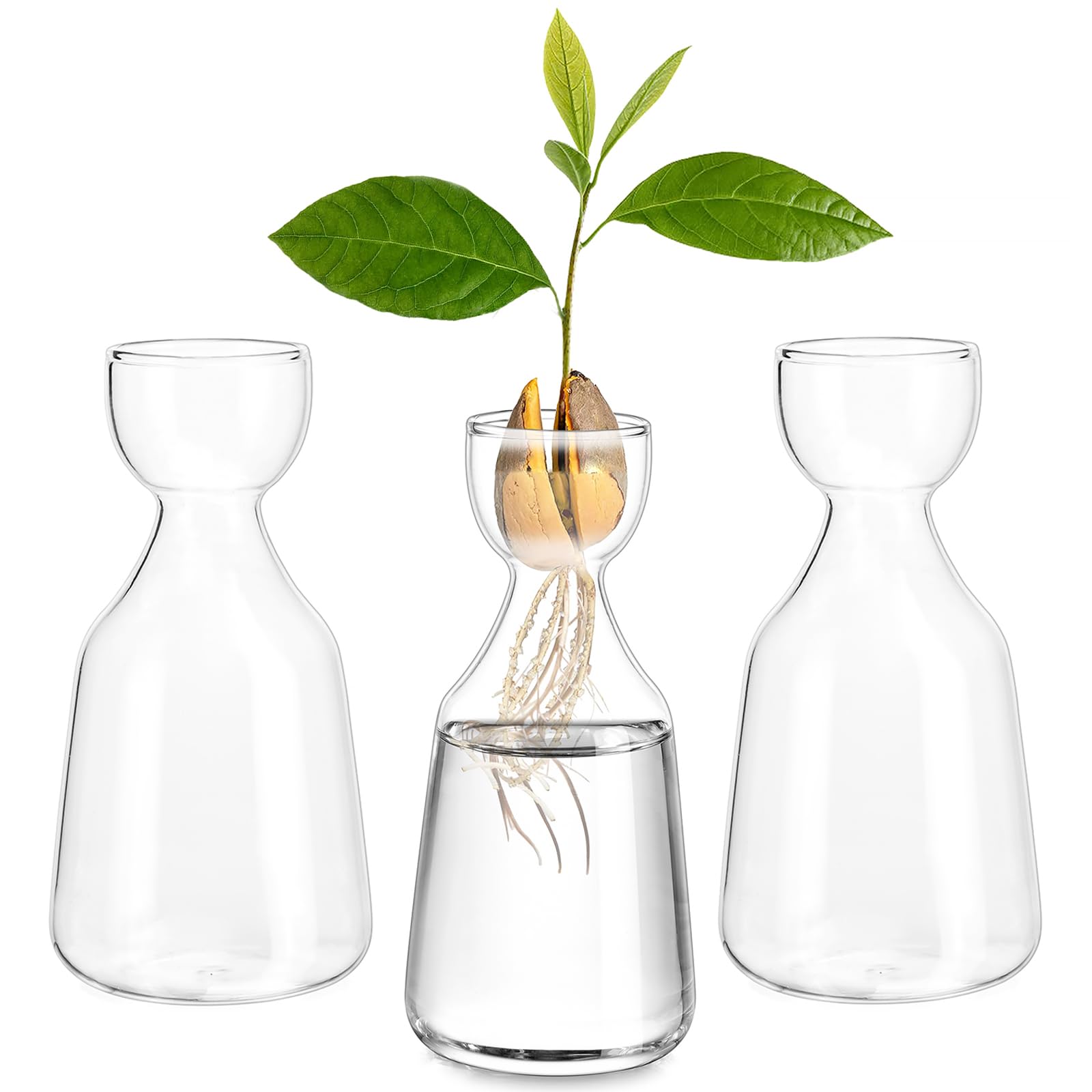 Glasseam Glass Avocado Vase Set