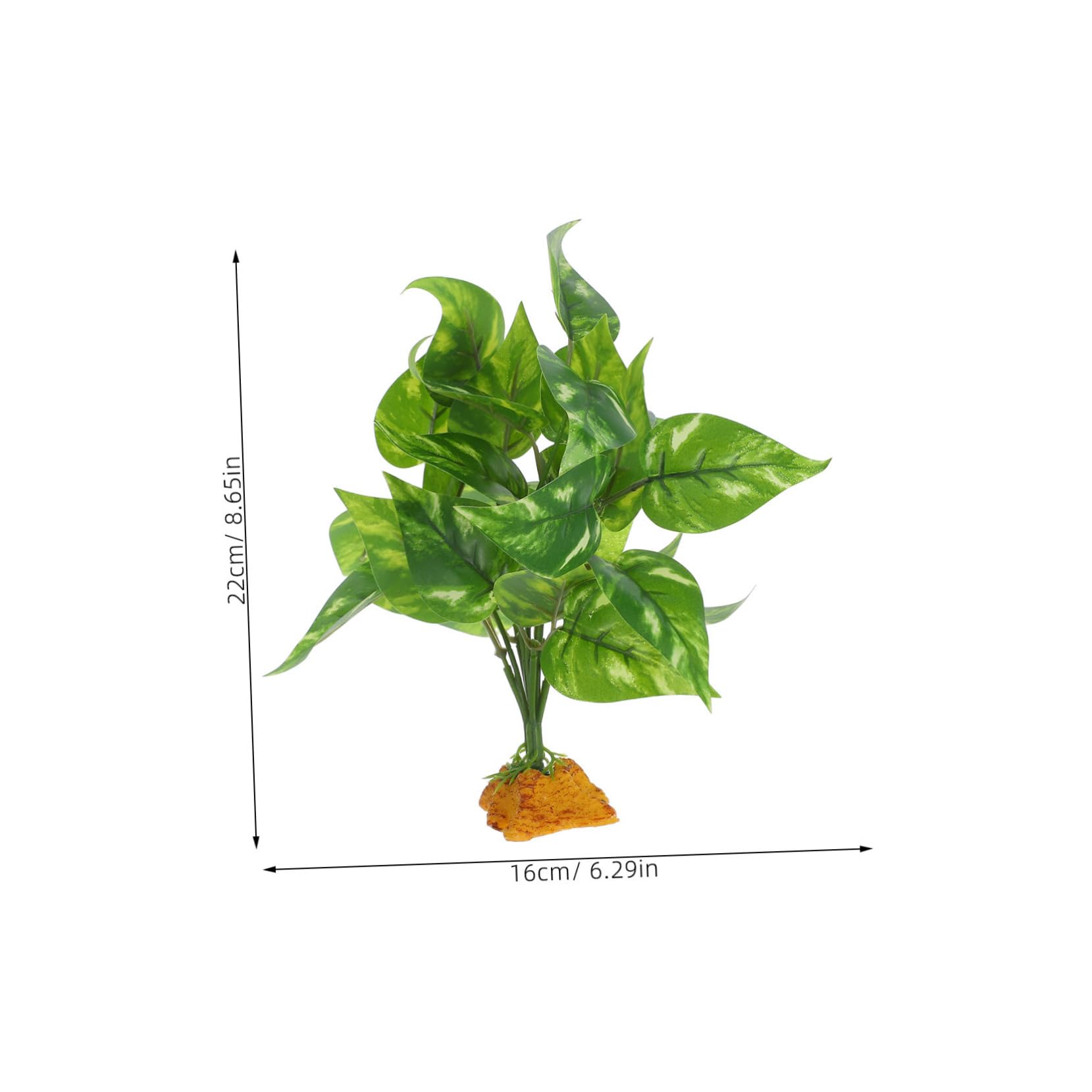 zimmerpflanze ähnlich gummibaum Gummibaum XL | Ficus elastica main image 1