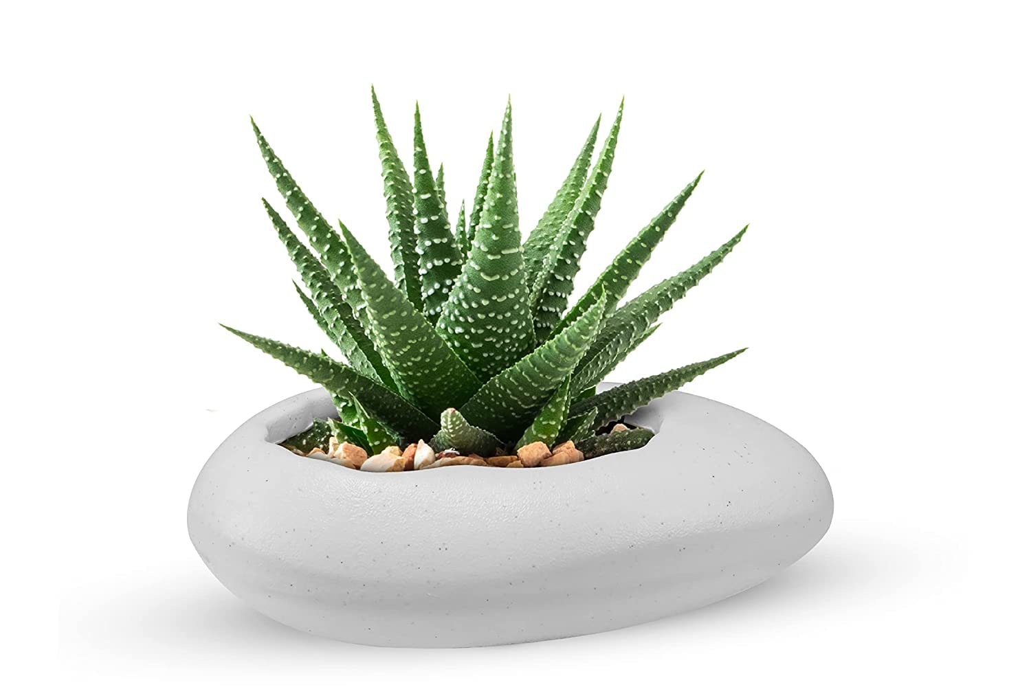 Amazon Brand - Umi White Indoor Plants Special Fancy Designer Pabble Pot Plastic Flower Pot for Home Planter| Suitable for Gift Purpose/Home/Office/Balcony/Garden Decor - Pack of 1 (B0C5RLJZPK) Amazon Price History, Amazon Price Tracker