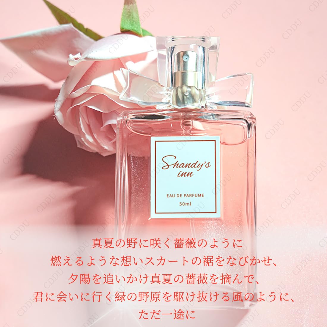 Amazon | 【ロングラスティング】Shandy`s inn 50ml フローラル