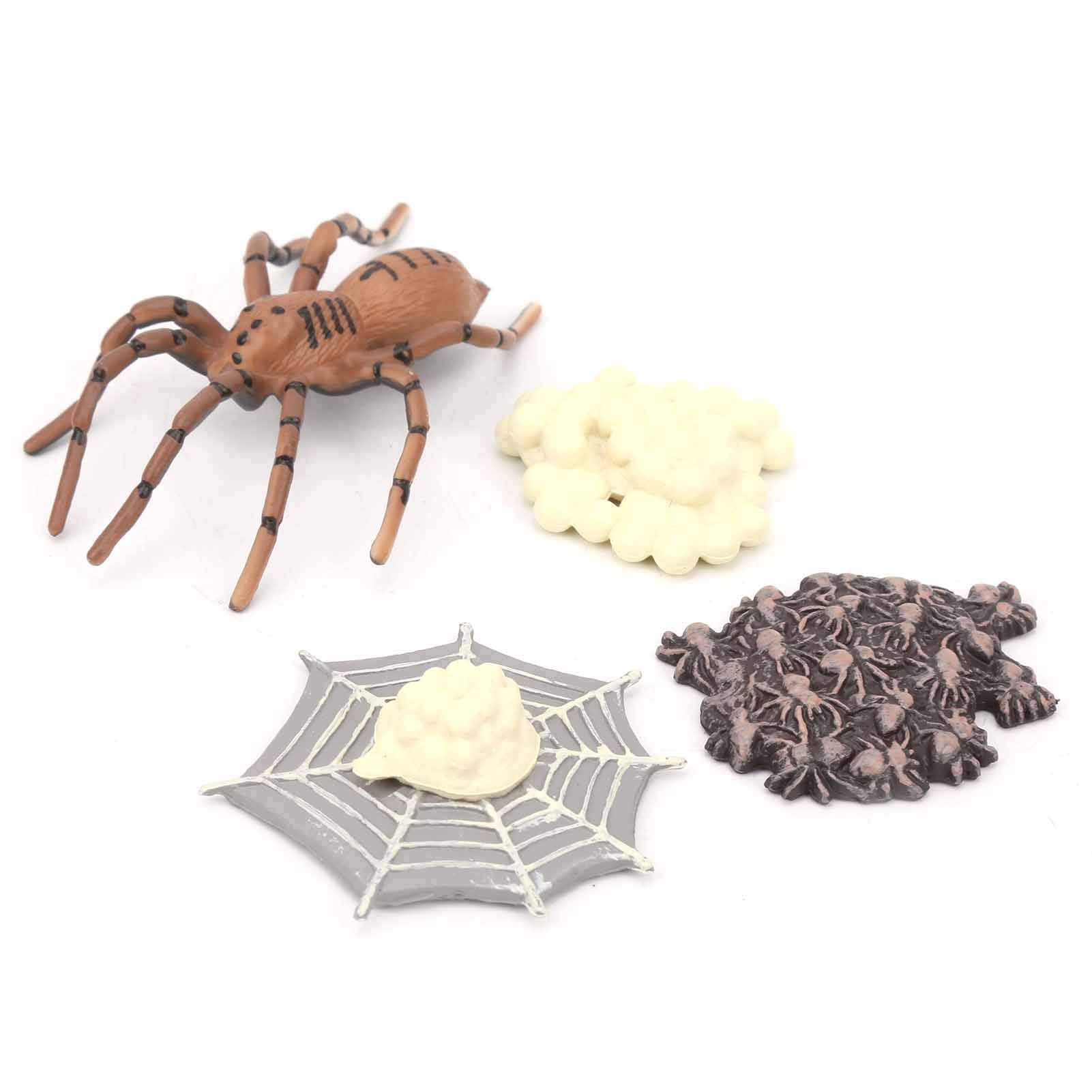 Buy Animals Growth Cycle Mode Life Cycle Model Simulation Children