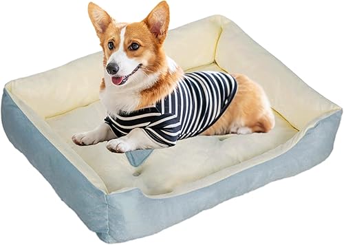Cama para perros pequeños, cama rectangular lavable para cachorros, cama ortopédica con parte inferior antideslizante, color azul, 24 pulgadas (azul)