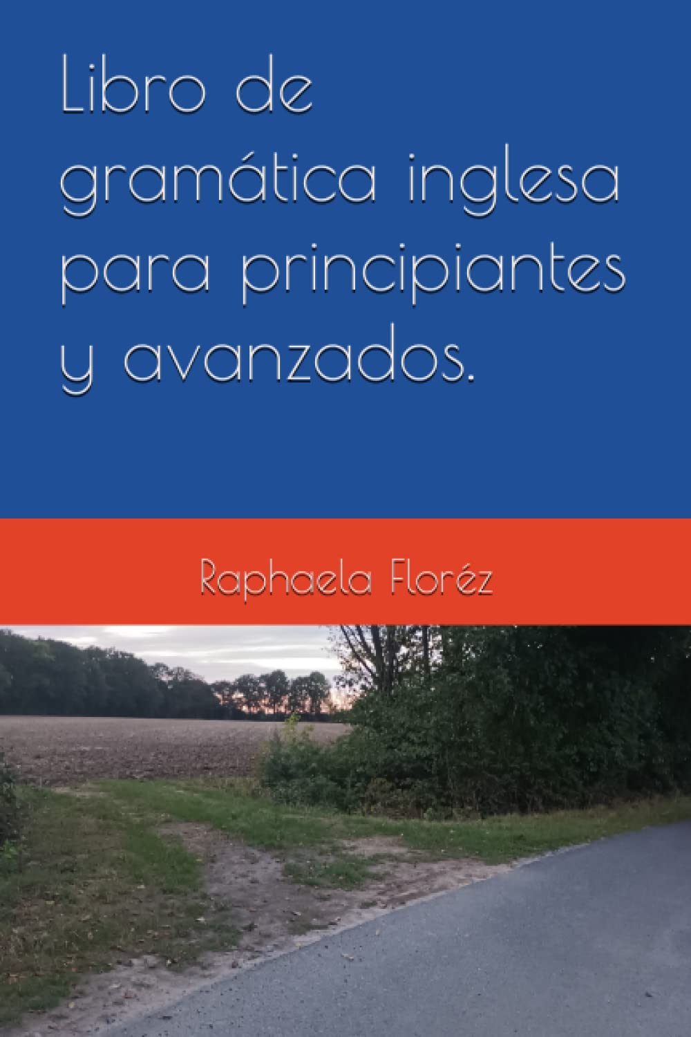 Libro de gramática inglesa para principiantes y avanzados. (Spanish Edition)