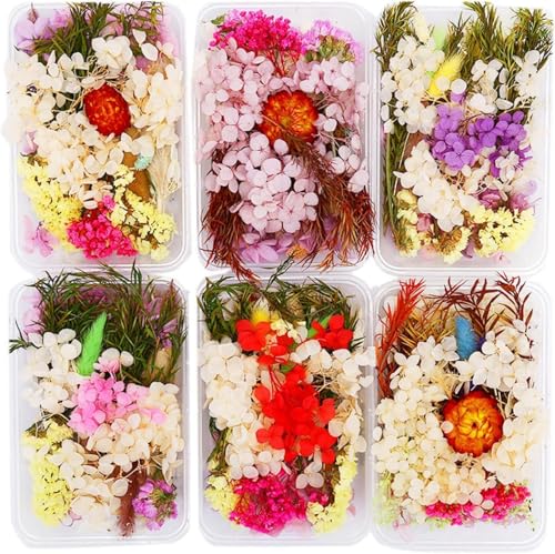 1 caja de flores secas para decoración y manualidades miniatura 7