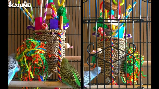 KATUMO Bird Toys, Parrot Grass Basket and Shredding Foraging for Parakeets, Cockatiels, Conures, Small and Medium Bird Cage Accessories - image 7