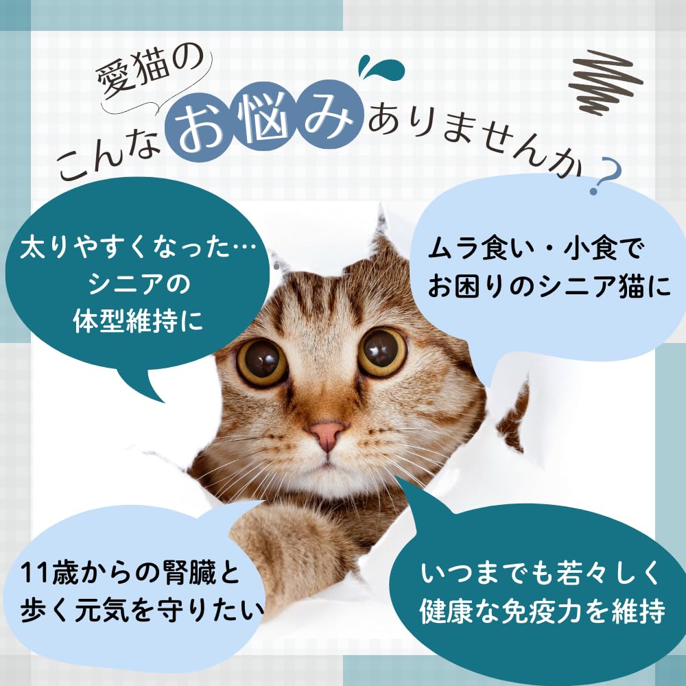 Amazon | 【 4kg 1個 】ロイヤルカナン エイジング ステアライズド 11+