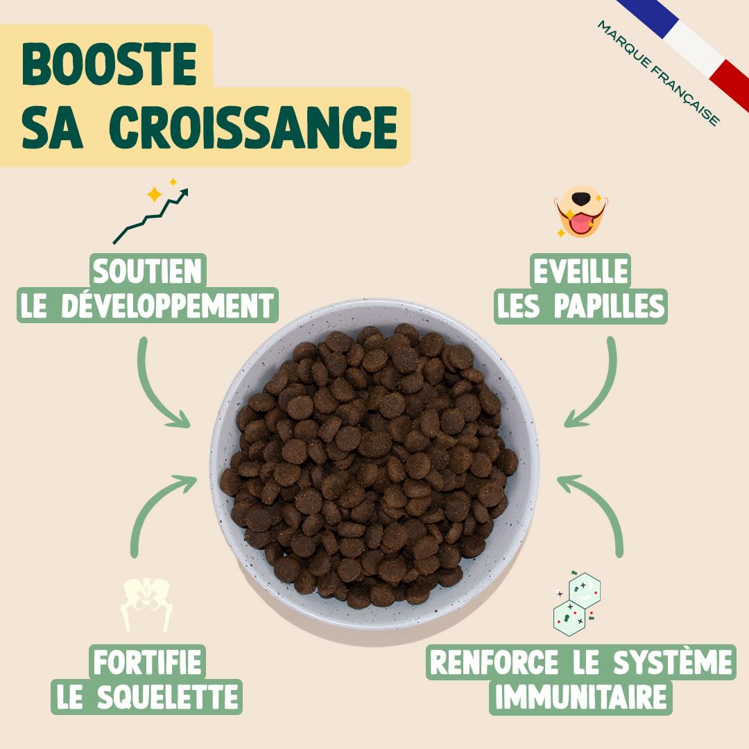 FRANKLIN – Croquette pour Chiot – 73% de Dinde et Truite – 6 kg | Sans Légumineuses et Sans Céréales – Riche en protéine – Digestion Facile – Croissance Optimale - Taille 13mm