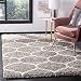 Safavieh Hudson Shag Collection SGH280B Grey and Ivory Moroccan Ogee Plush Area Rug (3' x 5')