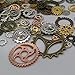 Metal Antiguo Steampunk Colgante para Hacer Manualidades, decoración de Halloween de Cosplay, Joyas Accesorio, Color Variado, 1