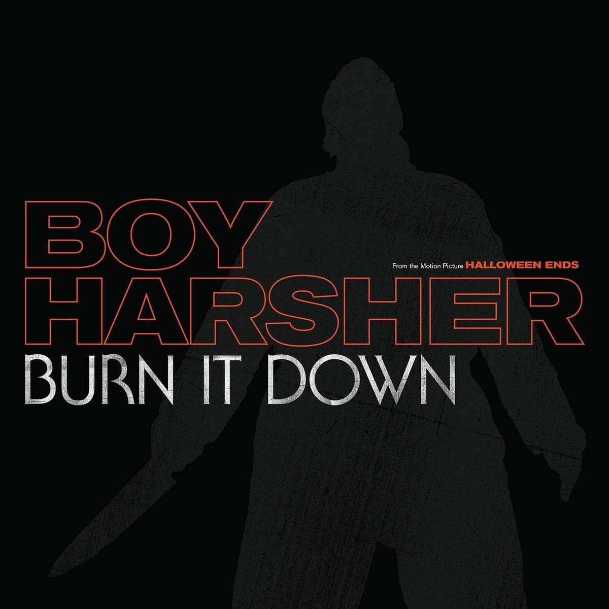 BURN IT DOWN [VINYL]