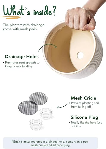 Miniatura 21 de LE TAUCI Macetas de cerámica, macetas con patas de 5.1 + 6.4 pulgadas para plantas, macetas modernas para el hogar y la oficina, macetas