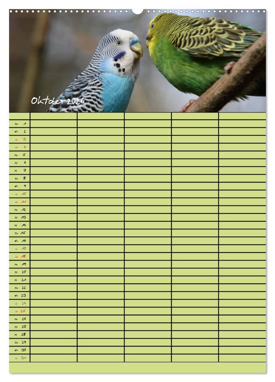 Der Wellensittich-Familienplaner (Wandkalender 2026 DIN A2 hoch), CALVENDO Monatskalender: Putzige Piepmätze (CALVENDO Tiere)
