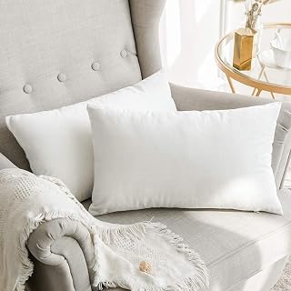 White Decorative Square Hollowfibre Filled Cushion Pad Pillow Insert Inner for Sofa and Couch (Pack of 2) (30x50 cm)