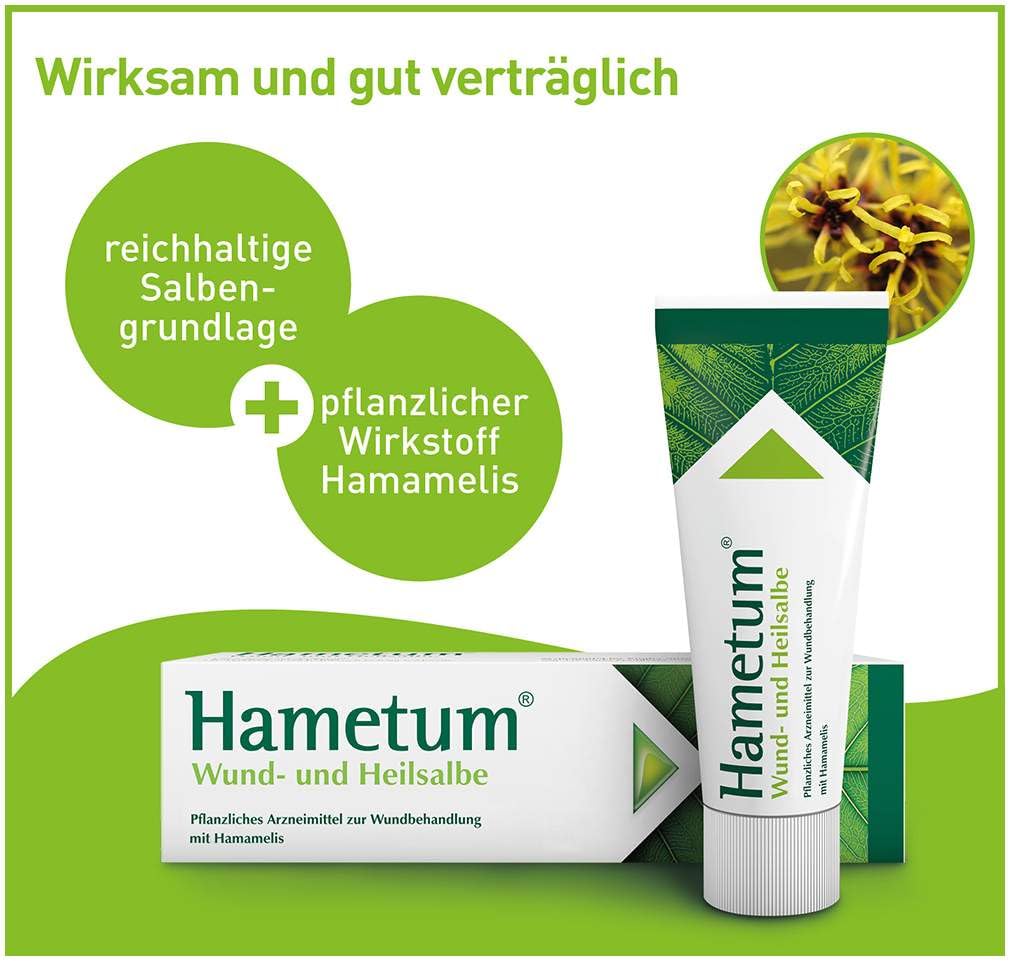Hametun Wund- und Heilsalbe 200 g + gratis Medizinische Hautpflege 20 g