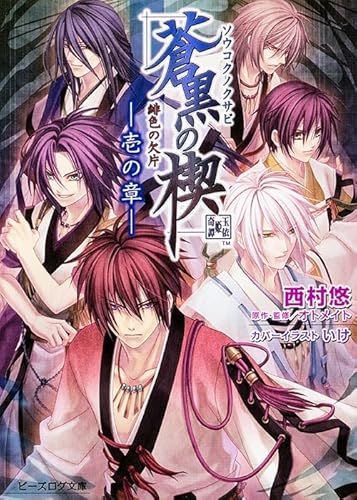 緋色の欠片 蒼黒の楔 -壱の章- (ビーズログ文庫)