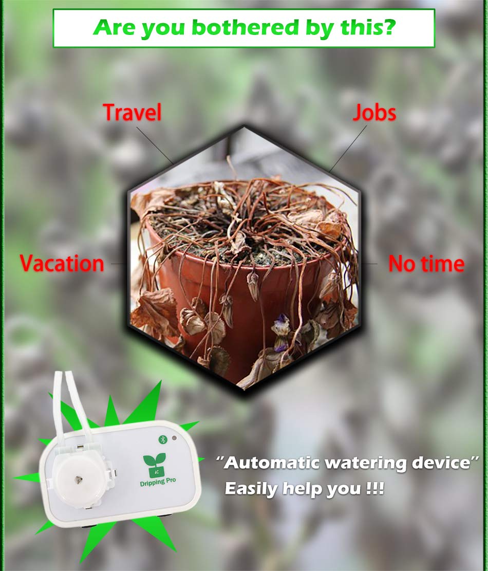 Kit automatico irrigazione a goccia, sistema di irrigazione fai da te, controllo Bluetooth Pompa acqua intelligente adatta per 8 piante in vaso,EUPlug