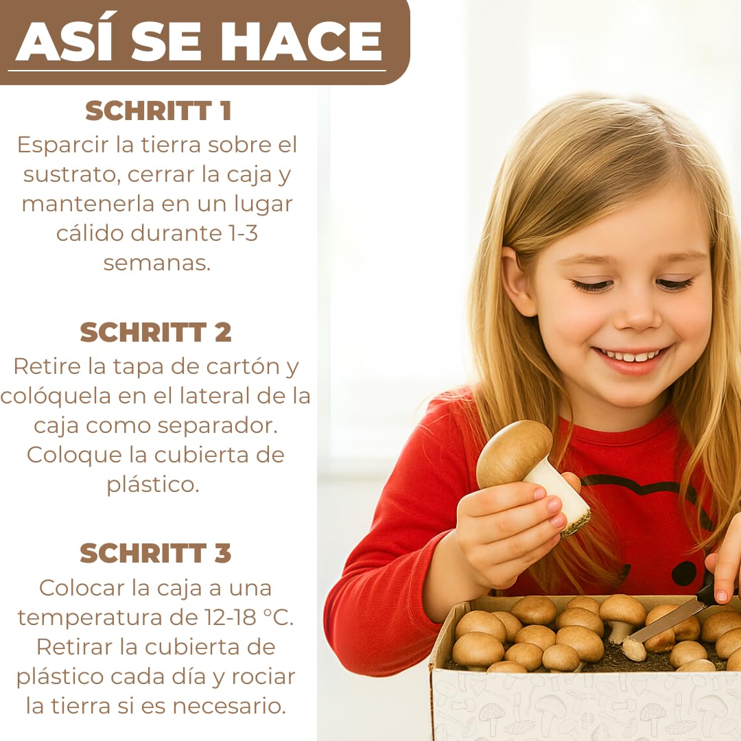 Hawlik Pilzbrut - Juego de cultivo XXL - 2 cajas de cría de champiñon portobello - setas autocultivo - fácil de cultivar champiñones - sin conocimientos previos - kit cultivo setas