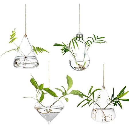 Amazon 花瓶 吊り下げ式試験管花瓶 穴あり ミニ花器 透明 フラワーベース 一輪挿し 水栽培 水耕栽培花瓶 ガラス花瓶 テラリウム容器 工芸 壁掛け花瓶 玄関廊下装飾花瓶 三角型 水玉型 電球型 四角型 4点セット 花器 インテリアボウル オンライン通販