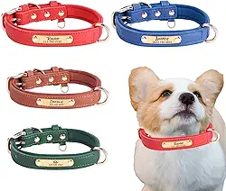 Coleira de couro personalizada para cães, coleira de couro profundamente gravada para cães PP, pequeno, médio, grande, extragrande, personalizável