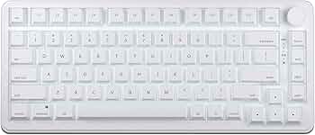 Amazon | AIM1 瞬 MATATAKI ラピッドトリガー ポーリングレート8000Hz