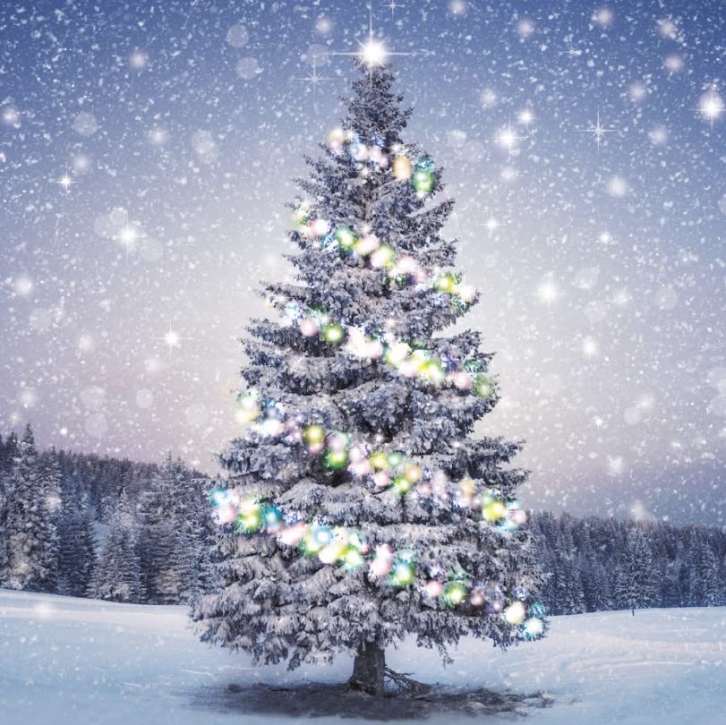 GBCC Charity Christmas Cards - Festive Snowy Tree - Eco-Friendly and Recyclable - Pack of 10 Premium Cards - Supporting UK Charities