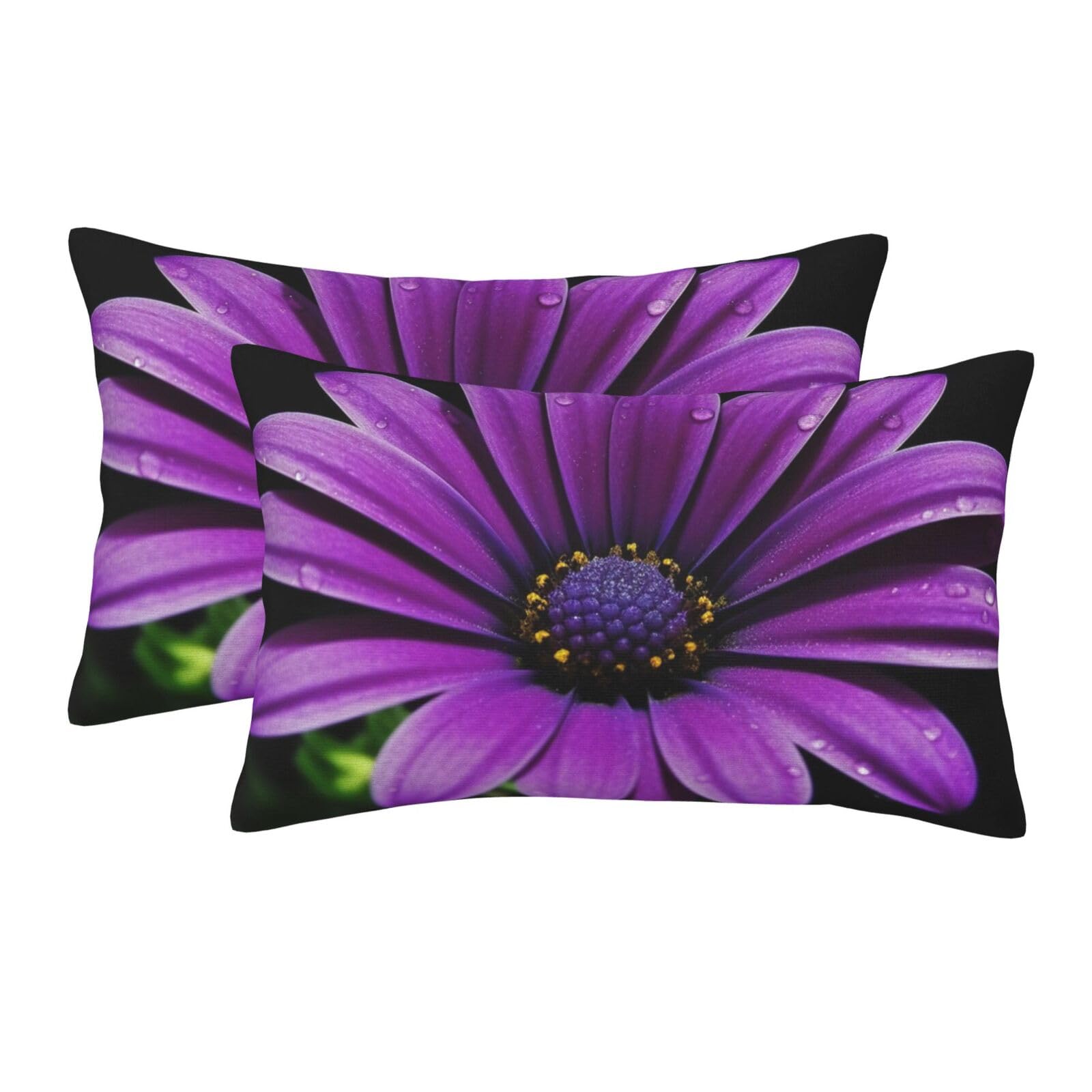 2 Pack Standard Size Pillow Cases for Hair and Skin Soft Breathable Pillow Case Covers with Hidden Zipper Purple Daisy Pillowcase 16"x24" Pillow Cover for Sleeping Gift