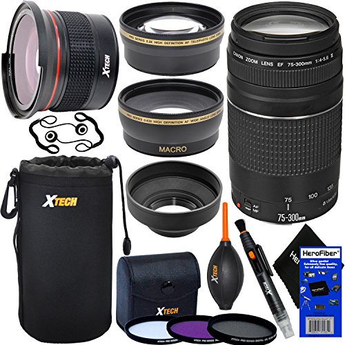 Best 300mm Zoom Lens
