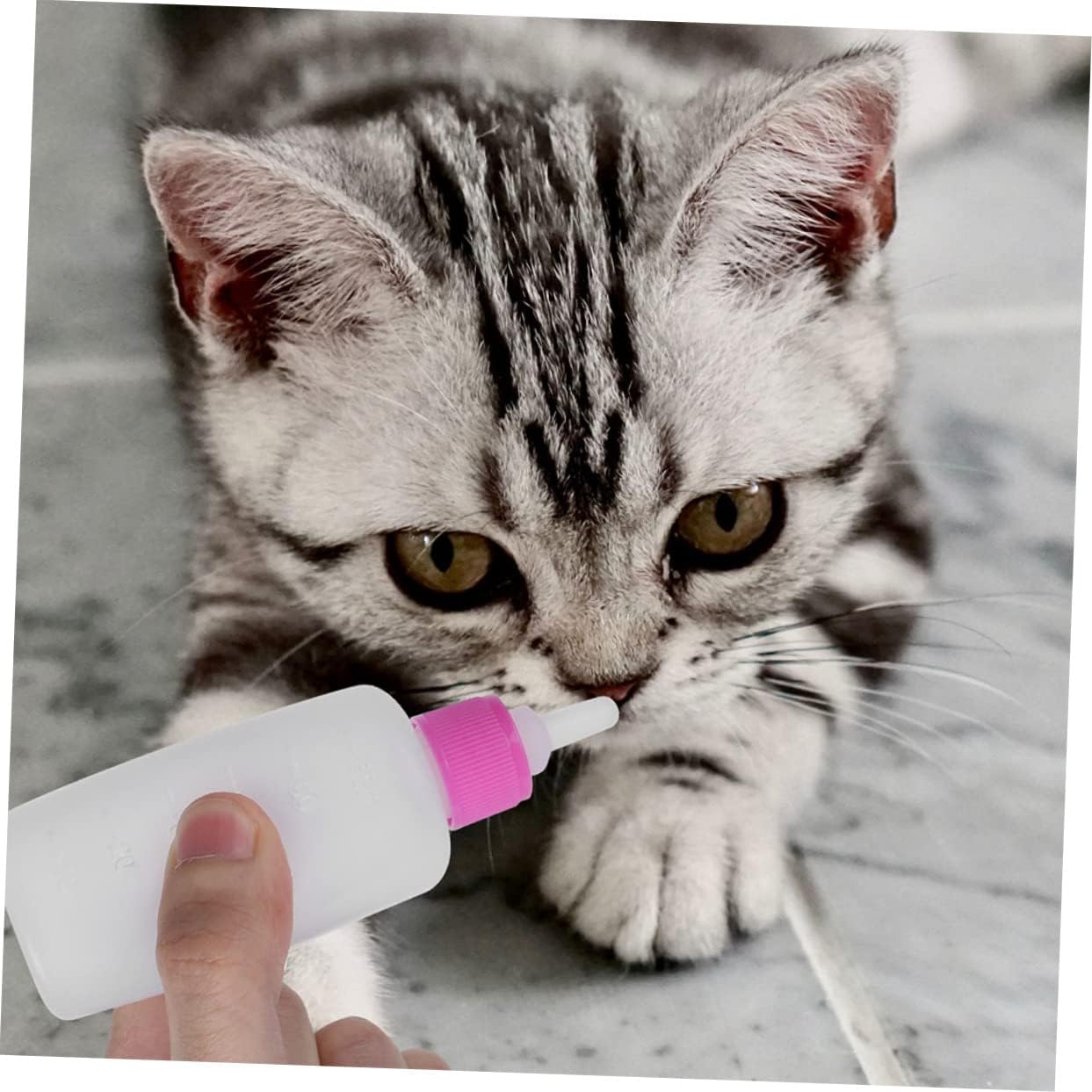 balacoo 10sets Nursing Bottles for Kittens and Puppies Soft Nipple for Newborn Pets Easy to Use Feeding Bottles Pet Supplies for Hand Feeding