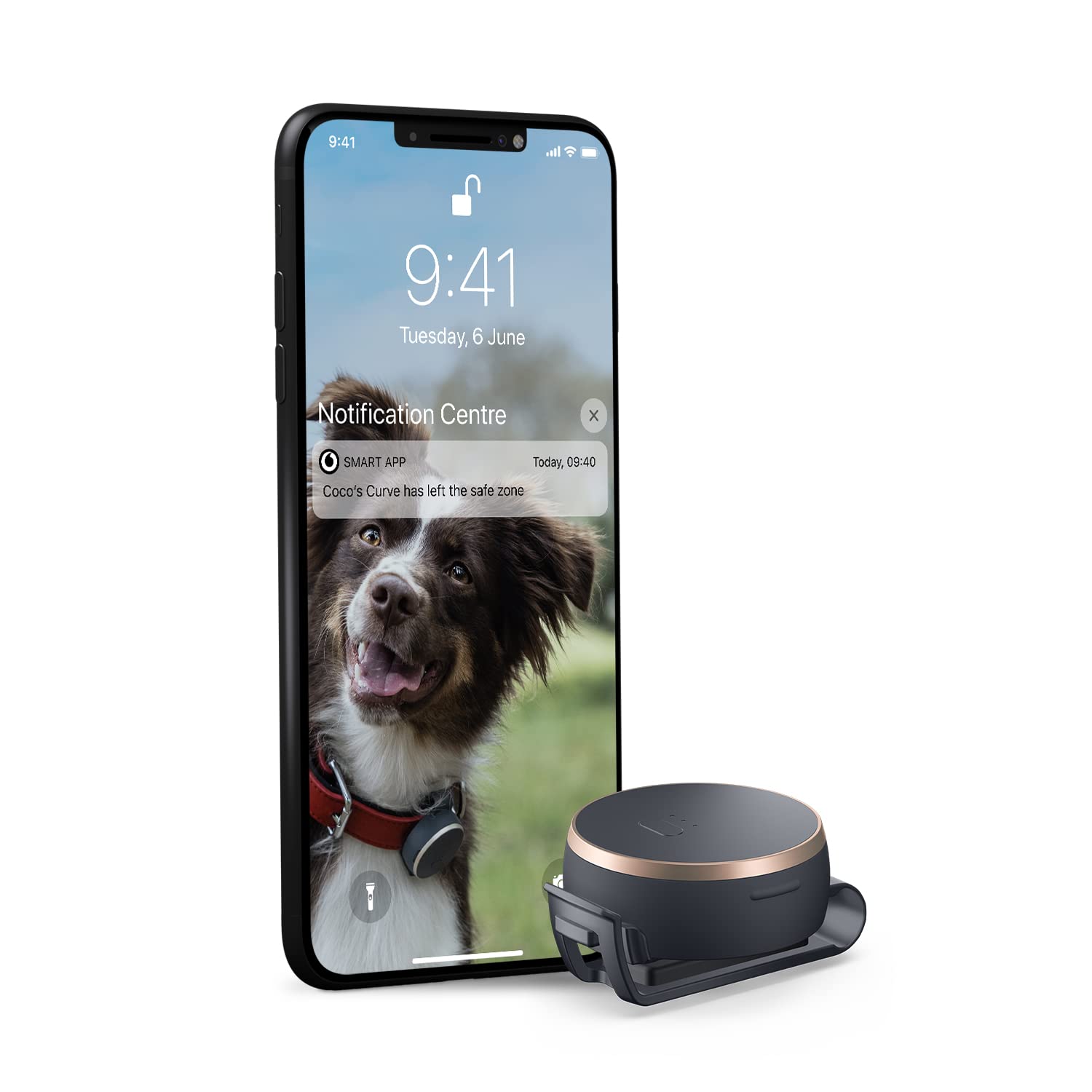 Buy Vodafone Curve Smart GPS Tracker, Pet Tracker Pack, Lightweight Pet