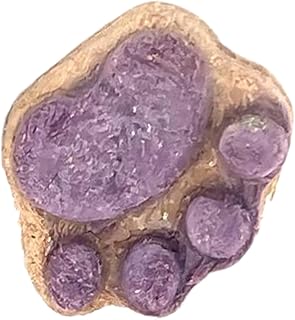 Katzenleckerlis Für Wohnungskatzen - Gefriergetrocknetes Trainingsfutter Für Wohnungskatzen | Zahnreinigende Snacks Nahrungsergänzung Für Bindungszeit Belohnungstraining Zuhause Tägliche