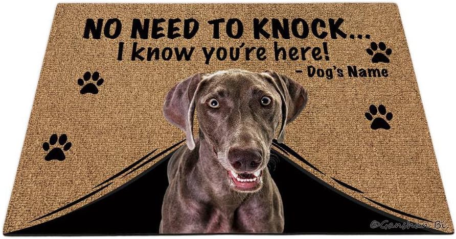 Personalized Door Mat with Funny Dog Weimaraner Welcome Floor Mat No Need to Knock I Know You're Here Gift for Dog Lover 35.4" x 23.6", Style 4