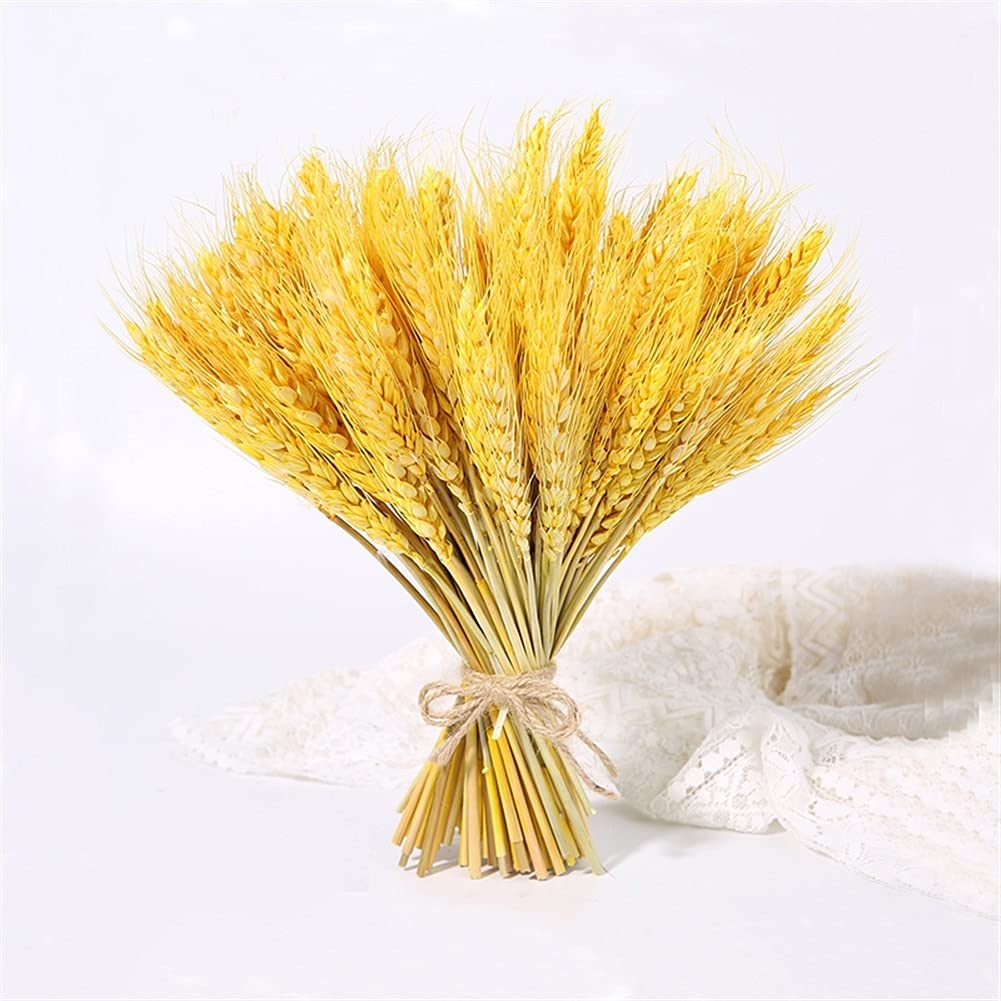 Leyfeng 100 Tallos De Flores Secas, Orejas De Trigo Natural, Tallos De