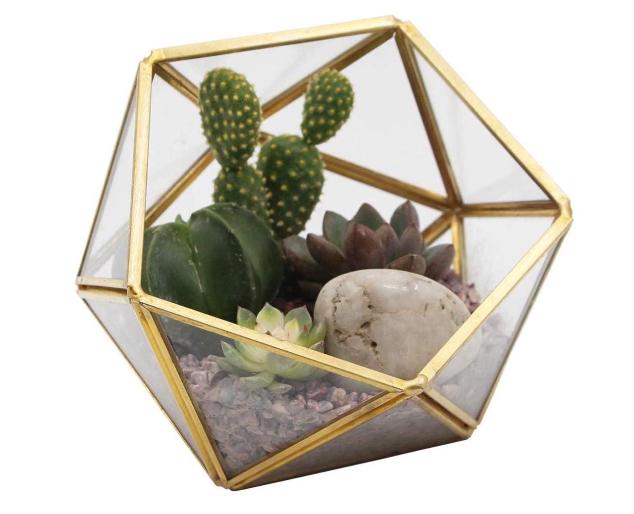 Brotherhood Enterprise Glass Metal Half Octa Ball Geometric Terrarium Indoor Succulent Plant Air Plating Terrarium for Home & Office Decor(Not Planter Included, Rust Resistant, Pack of 1) (B08VGSJMY7) Amazon Price History, Amazon Price Tracker