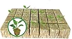 1.5” Rockwool Starter Plugs for Hydroponics, Rockwool Grow Cubes, 1 Sheets of 28 Plugs (Small)