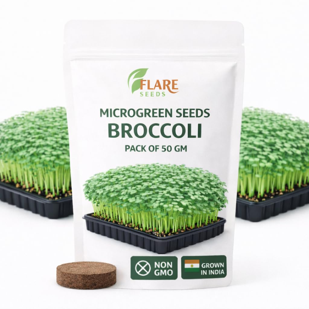 Flare Seeds Broccoli Microgreen Seeds, Non-GMO Chemical Free, 50 GM Pack, Rich in Sulforaphane, Vitamins A C K, Fiber, Grown in India-image-45