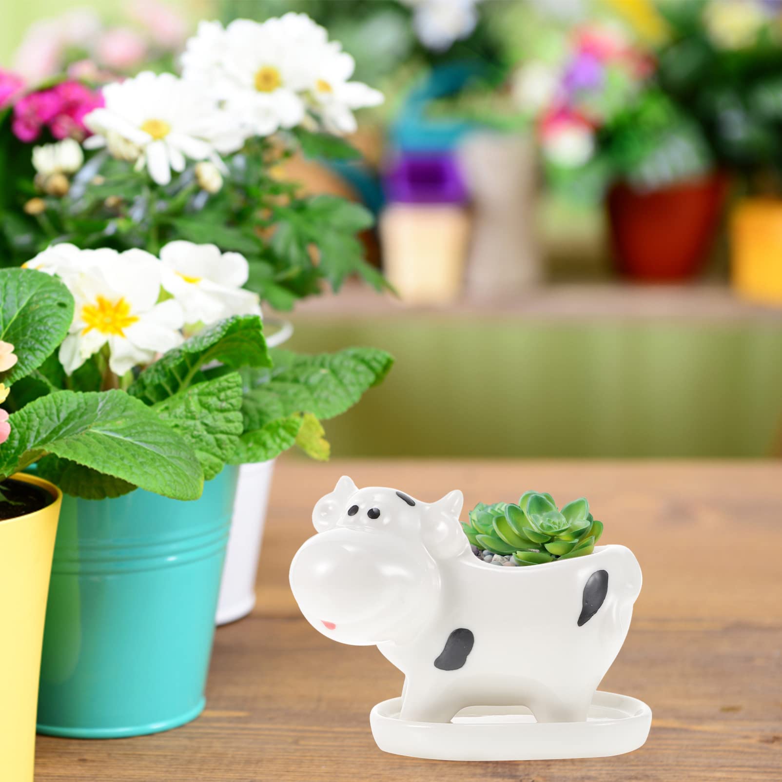 Amazon.co.jp: DOITOOL 陶器 動物 多肉植物 植木鉢 かわいい 牛型