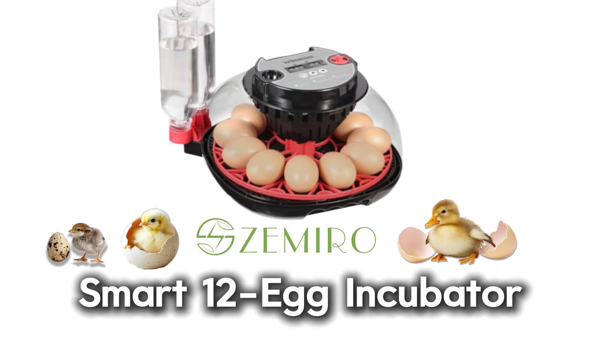 Amazon.com: Series II - 12 Egg Automatic Incubator for Beginners
