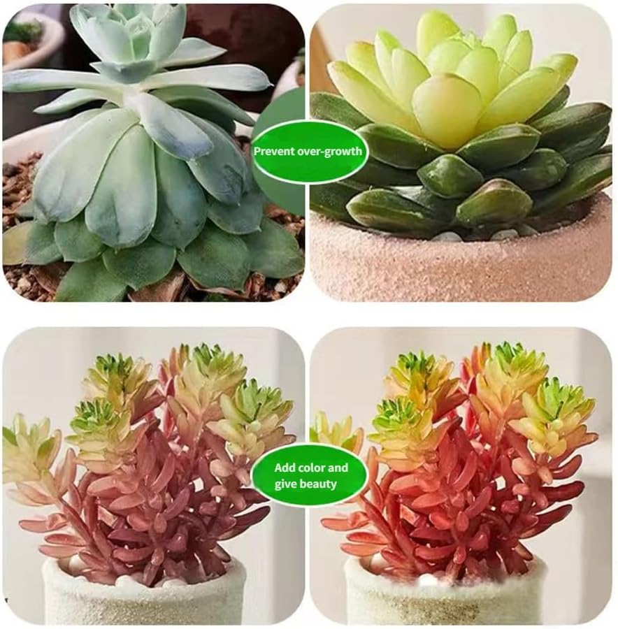Grow Light Plant Lights for Indoor Plants, 4 Heads LED Grow Light with Full Spectrum & Red Blue Purple Spectrum for Indoor Plant Growing Lamp, 3/9/12H Timer, 9 Dimmable Levels (Four Head)