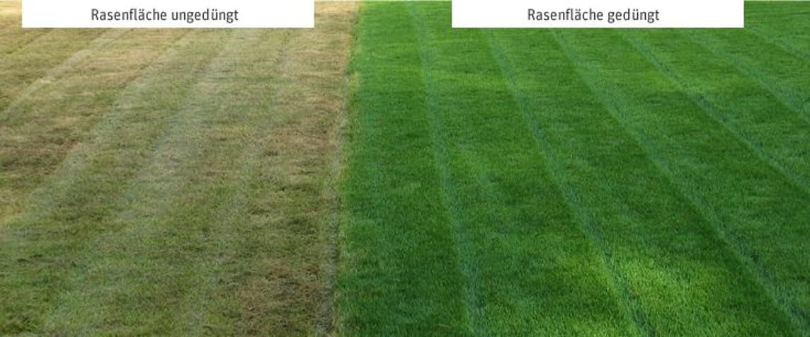Super Floranid Twin Turf BS Premium Langzeitdünger, 20 kg, NPK 20-5-10 (+2), Rasendünger Compo Expert Universaldünger