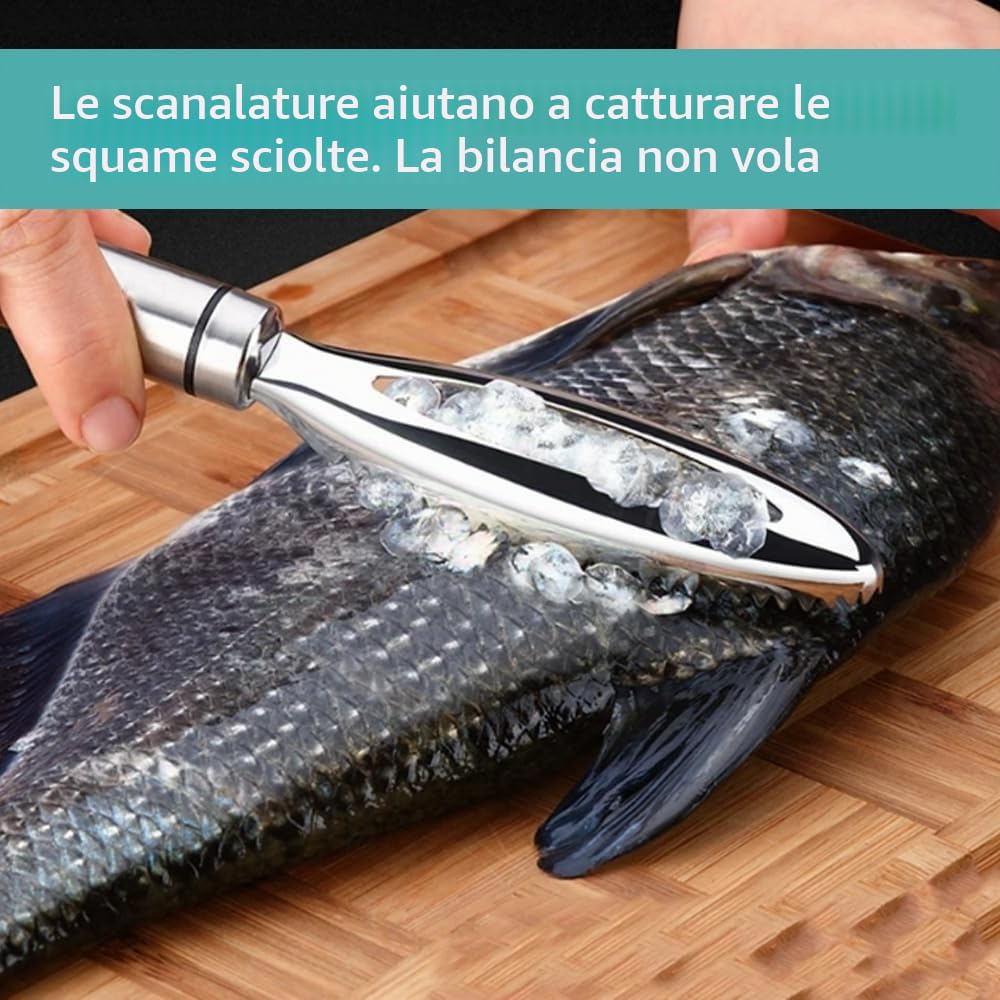 Set da 2 Pezzi Raschietto per Squame di Pesce Acciaio Inossidabile Raschietto Professionale con Maniglia per Pesci Rimuove Rapidamente Le Squame dei Pesci