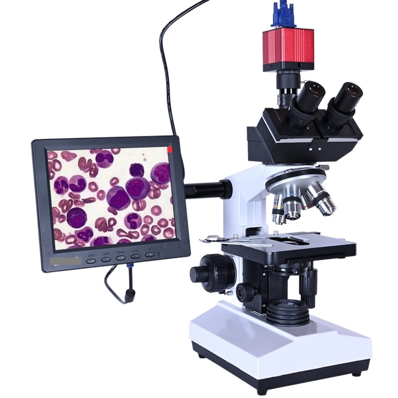 9 cal LCD profesjonalne laboratorium biologiczny HD Trinocular mikroskop Zoom 2500X + USB VGA CVBS elektroniczna cyfrowa kamera ccd(Set 2)