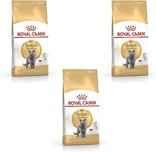 Royal Canin British Shorthair Adult | 3er Pack | 3 x 400 g | Alleinfuttermittel für British Shorthair Katzen | Speziell für Britisch Kurzhaar Katzen entwickelt | Ab dem 12. Monat product image
