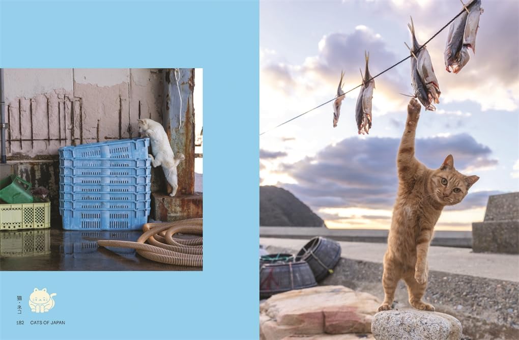 Neko Cats of Japan