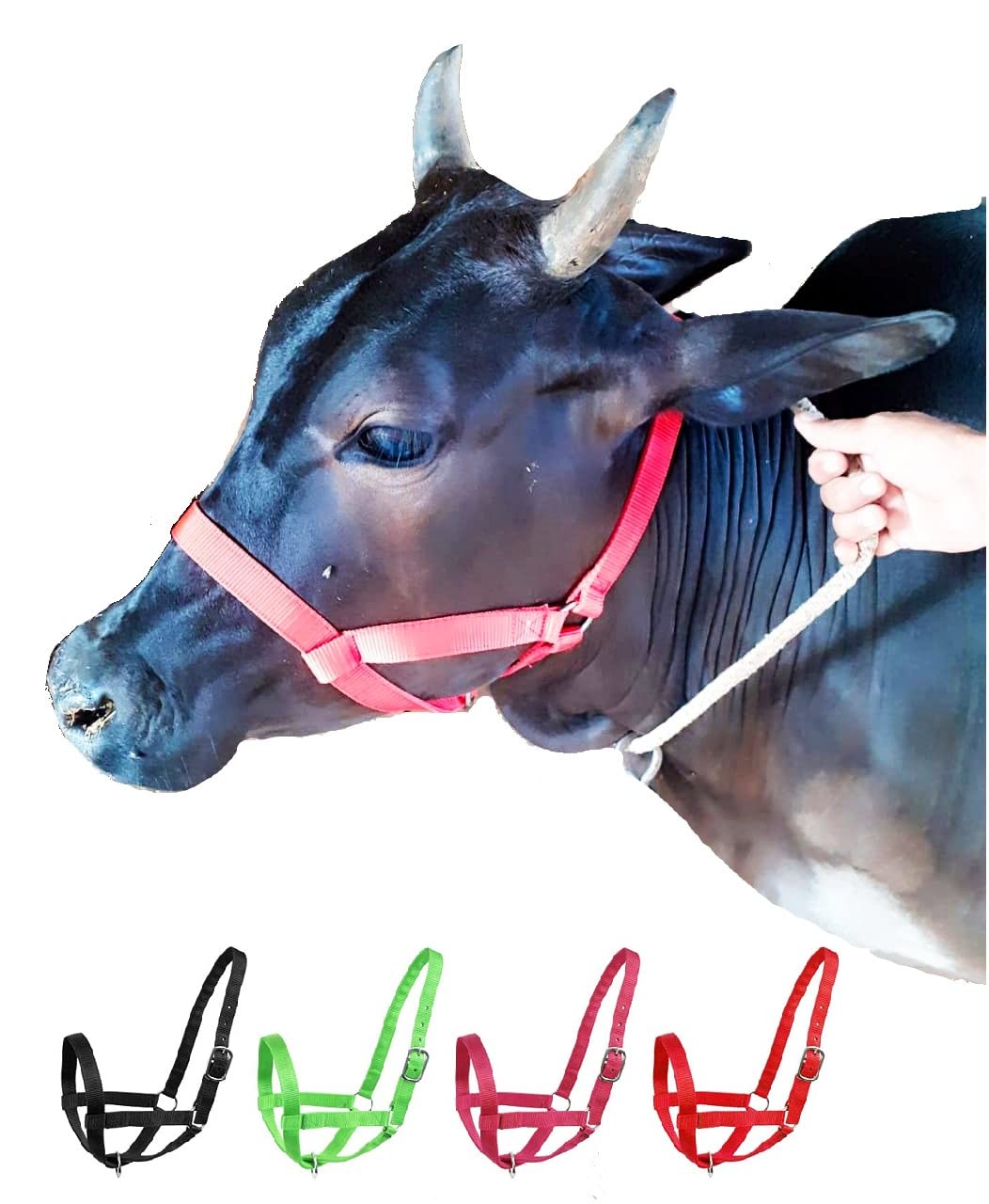 Petley Export Quality Nylon Cow Halter (Morkhi/Mohri/Mohra) - Adjustable Halter for Livestock, Buffaloes, Cattle, Heavy-Duty Hardware- Ideal for Farming, Ranching and Behaviour Training (Medium,Red)